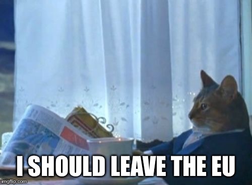 I Should Buy A Boat Cat | I SHOULD LEAVE THE EU | image tagged in memes,i should buy a boat cat | made w/ Imgflip meme maker