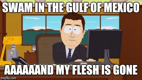 Aaaaand Its Gone Meme | SWAM IN THE GULF OF MEXICO; AAAAAAND MY FLESH IS GONE | image tagged in memes,aaaaand its gone | made w/ Imgflip meme maker