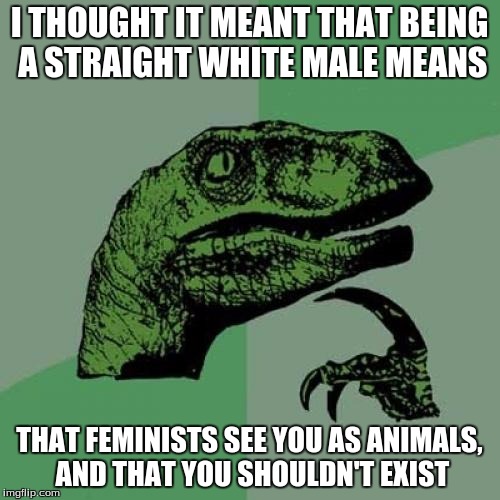 Philosoraptor Meme | I THOUGHT IT MEANT THAT BEING A STRAIGHT WHITE MALE MEANS THAT FEMINISTS SEE YOU AS ANIMALS, AND THAT YOU SHOULDN'T EXIST | image tagged in memes,philosoraptor | made w/ Imgflip meme maker