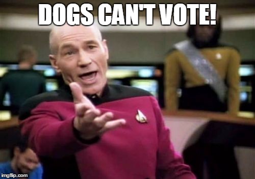 Picard Wtf Meme | DOGS CAN'T VOTE! | image tagged in memes,picard wtf | made w/ Imgflip meme maker