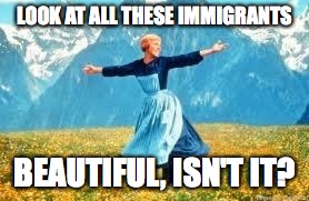 I was told that Conservative Opinions = Upvotes | LOOK AT ALL THESE IMMIGRANTS; BEAUTIFUL, ISN'T IT? | image tagged in memes,look at all these | made w/ Imgflip meme maker