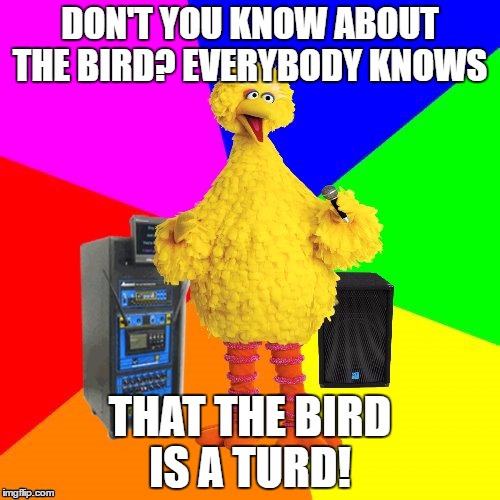 Wrong lyrics karaoke big bird | DON'T YOU KNOW ABOUT THE BIRD? EVERYBODY KNOWS; THAT THE BIRD IS A TURD! | image tagged in wrong lyrics karaoke big bird | made w/ Imgflip meme maker