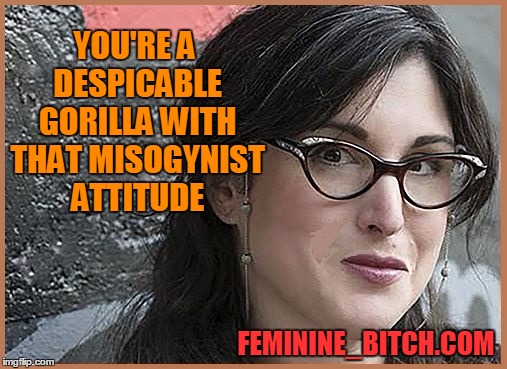 feminist Zeisler | YOU'RE A DESPICABLE GORILLA WITH THAT MISOGYNIST ATTITUDE FEMININE_B**CH.COM | image tagged in feminist zeisler | made w/ Imgflip meme maker