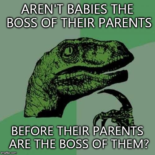 Philosoraptor | AREN'T BABIES THE BOSS OF THEIR PARENTS; BEFORE THEIR PARENTS ARE THE BOSS OF THEM? | image tagged in memes,philosoraptor | made w/ Imgflip meme maker