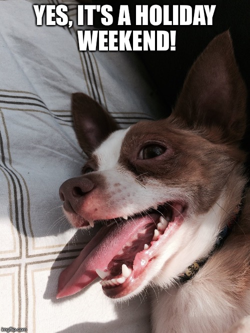 Yes, it's a Holiday Weekend! | YES, IT'S A HOLIDAY WEEKEND! | image tagged in holiday,dogs | made w/ Imgflip meme maker