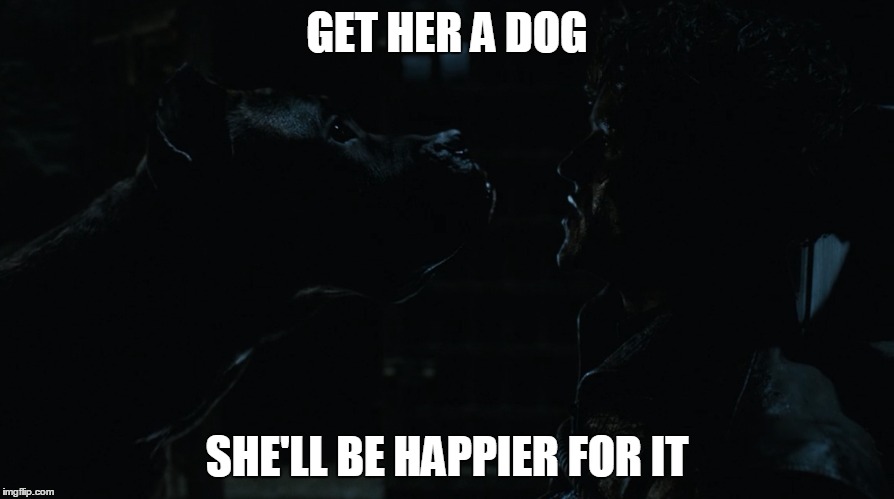 Get her a dog | GET HER A DOG; SHE'LL BE HAPPIER FOR IT | image tagged in robert baratheon,lady,ramsay bolton,sansa stark,wolf | made w/ Imgflip meme maker