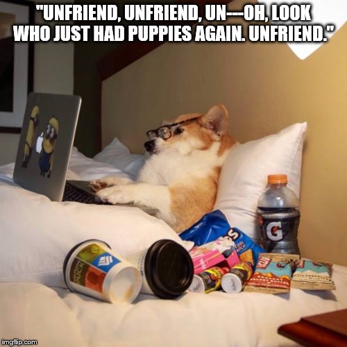 unfriend | "UNFRIEND, UNFRIEND, UN---OH, LOOK WHO JUST HAD PUPPIES AGAIN. UNFRIEND." | image tagged in unfriend | made w/ Imgflip meme maker