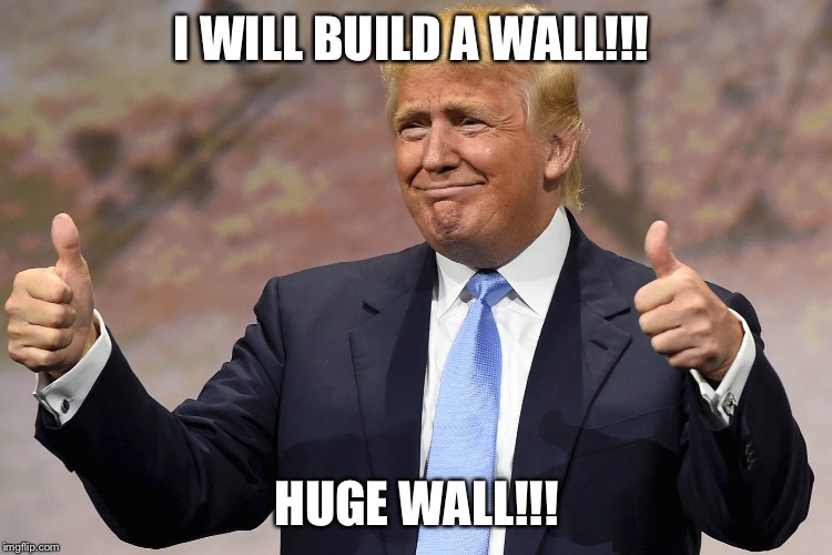 donald trump winning |  I WILL BUILD A WALL!!! HUGE WALL!!! | image tagged in donald trump winning | made w/ Imgflip meme maker