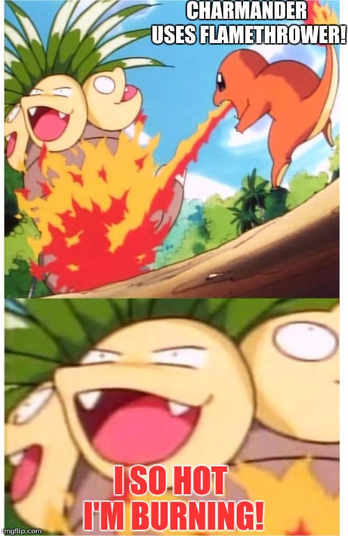 So hot... jk | CHARMANDER USES FLAMETHROWER! I SO HOT I'M BURNING! | image tagged in wtfpokemon | made w/ Imgflip meme maker