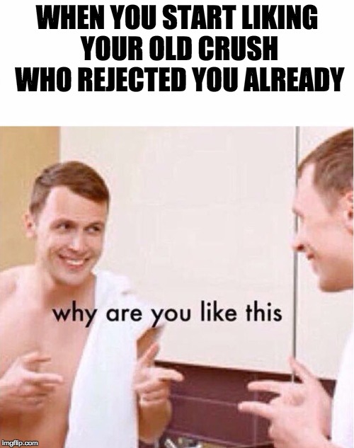 Why, self?  Why? | WHEN YOU START LIKING YOUR OLD CRUSH WHO REJECTED YOU ALREADY | image tagged in why are you like this,old crush,crush,failure,rejected,please | made w/ Imgflip meme maker