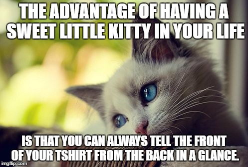 First World Problems Cat | THE ADVANTAGE OF HAVING A SWEET LITTLE KITTY IN YOUR LIFE; IS THAT YOU CAN ALWAYS TELL THE FRONT OF YOUR TSHIRT FROM THE BACK IN A GLANCE. | image tagged in memes,first world problems cat | made w/ Imgflip meme maker