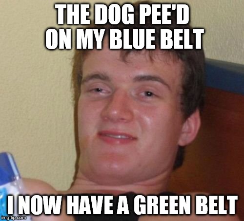 10 Guy Meme | THE DOG PEE'D ON MY BLUE BELT I NOW HAVE A GREEN BELT | image tagged in memes,10 guy | made w/ Imgflip meme maker