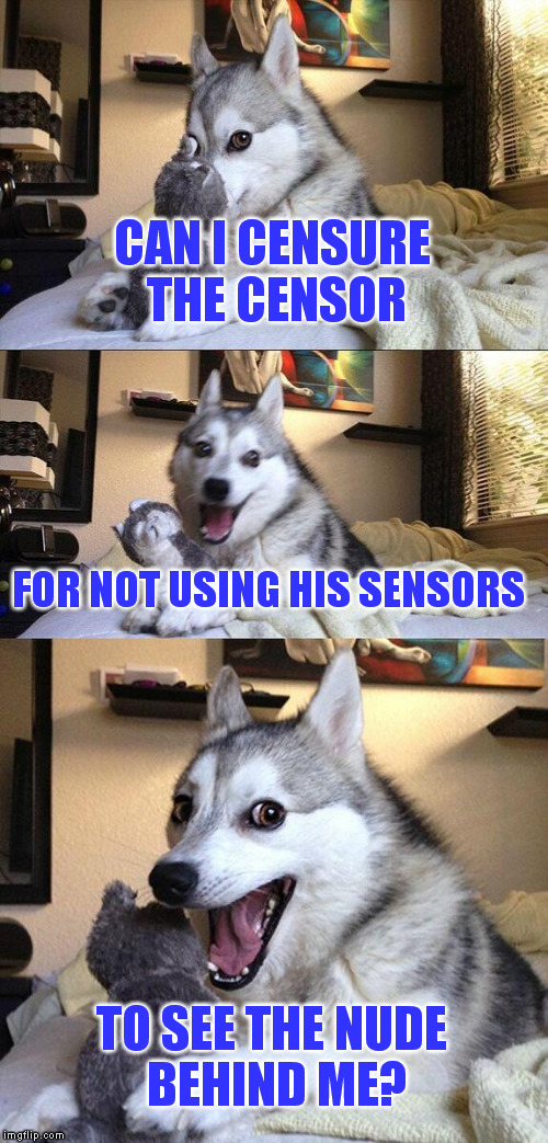 Bad Pun Dog | CAN I CENSURE THE CENSOR; FOR NOT USING HIS SENSORS; TO SEE THE NUDE BEHIND ME? | image tagged in memes,bad pun dog,censhorship | made w/ Imgflip meme maker