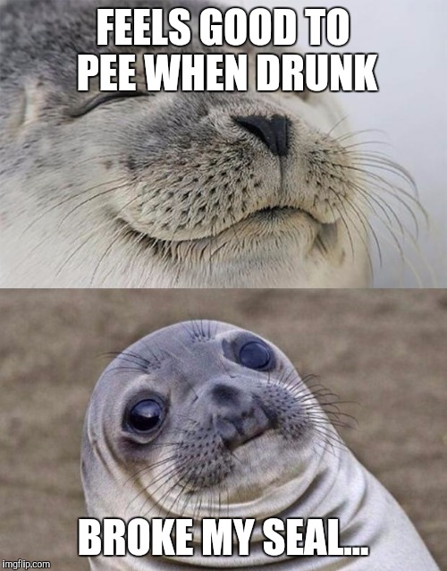 Short Satisfaction VS Truth | FEELS GOOD TO PEE WHEN DRUNK; BROKE MY SEAL... | image tagged in memes,short satisfaction vs truth | made w/ Imgflip meme maker
