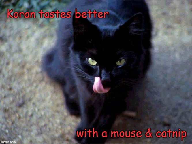 Black cat says "Koran tastes better with a mouse & catnip" | Koran tastes better; with a mouse & catnip | image tagged in koran,black cat | made w/ Imgflip meme maker