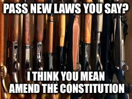 Guns...2nd amendment | PASS NEW LAWS YOU SAY? I THINK YOU MEAN AMEND THE CONSTITUTION | image tagged in guns | made w/ Imgflip meme maker