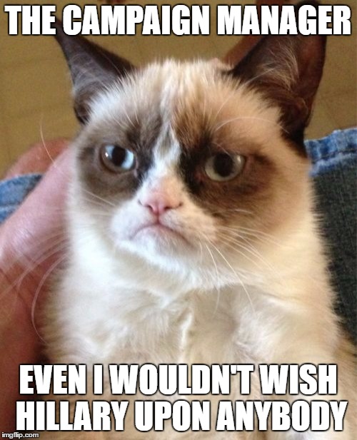 Grumpy Cat Meme | THE CAMPAIGN MANAGER EVEN I WOULDN'T WISH HILLARY UPON ANYBODY | image tagged in memes,grumpy cat | made w/ Imgflip meme maker
