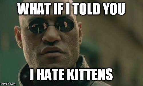 Matrix Morpheus | WHAT IF I TOLD YOU; I HATE KITTENS | image tagged in memes,matrix morpheus | made w/ Imgflip meme maker