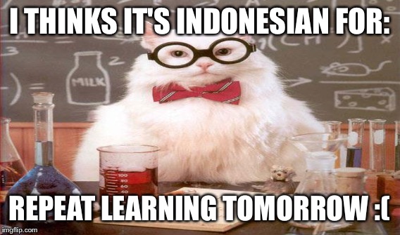 I THINKS IT'S INDONESIAN FOR: REPEAT LEARNING TOMORROW :( | made w/ Imgflip meme maker