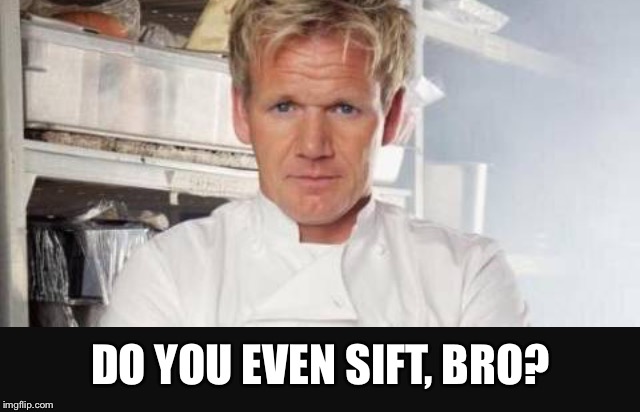 Chef Ramsay is like | DO YOU EVEN SIFT, BRO? | image tagged in chef gordon ramsay,cooking,weight lifting,lift,funny | made w/ Imgflip meme maker