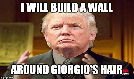 I WILL BUILD A WALL AROUND GIORGIO'S HAIR | made w/ Imgflip meme maker