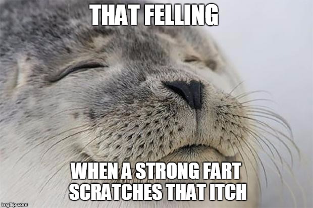 Satisfied Seal | THAT FELLING; WHEN A STRONG FART SCRATCHES THAT ITCH | image tagged in memes,satisfied seal,funny,fart,itch,scrach | made w/ Imgflip meme maker