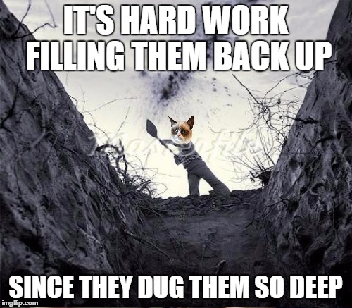 IT'S HARD WORK FILLING THEM BACK UP SINCE THEY DUG THEM SO DEEP | made w/ Imgflip meme maker