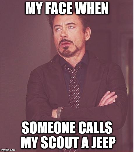Face You Make Robert Downey Jr Meme | MY FACE WHEN SOMEONE CALLS MY SCOUT A JEEP | image tagged in memes,face you make robert downey jr | made w/ Imgflip meme maker