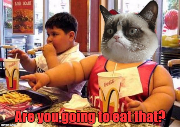 Fat McDonald's Kid | Are you going to eat that? | image tagged in fat mcdonald's kid | made w/ Imgflip meme maker