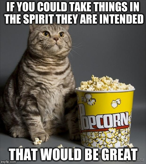 Cat eating popcorn | IF YOU COULD TAKE THINGS IN THE SPIRIT THEY ARE INTENDED; THAT WOULD BE GREAT | image tagged in cat eating popcorn | made w/ Imgflip meme maker