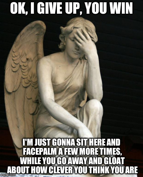 Stupid is as stupid does | OK, I GIVE UP, YOU WIN; I'M JUST GONNA SIT HERE AND FACEPALM A FEW MORE TIMES, WHILE YOU GO AWAY AND GLOAT ABOUT HOW CLEVER YOU THINK YOU ARE | image tagged in angel facepalm | made w/ Imgflip meme maker