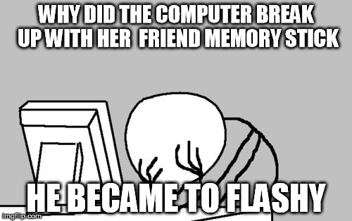 Computer Guy Facepalm Meme | WHY DID THE COMPUTER BREAK UP WITH HER  FRIEND MEMORY STICK; HE BECAME TO FLASHY | image tagged in memes,computer guy facepalm | made w/ Imgflip meme maker