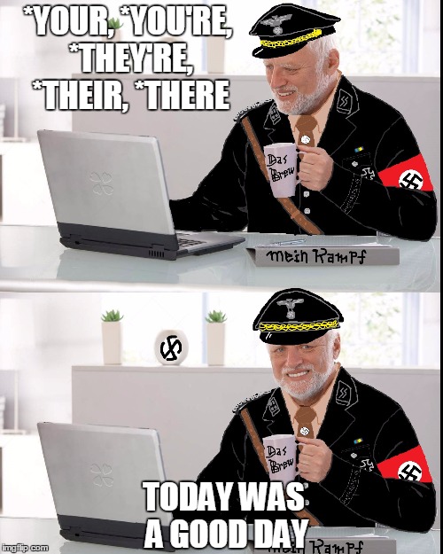 Harold hides his pain by becoming a grammar Nazi. | *YOUR, *YOU'RE, *THEY'RE, *THEIR, *THERE; TODAY WAS A GOOD DAY | image tagged in harold nazi | made w/ Imgflip meme maker