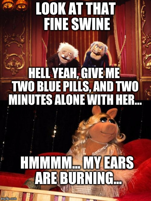 Statler and Waldorf versus Miss Piggy |  LOOK AT THAT FINE SWINE; HELL YEAH, GIVE ME TWO BLUE PILLS, AND TWO MINUTES ALONE WITH HER... HMMMM... MY EARS ARE BURNING... | image tagged in statler and waldorf versus miss piggy | made w/ Imgflip meme maker
