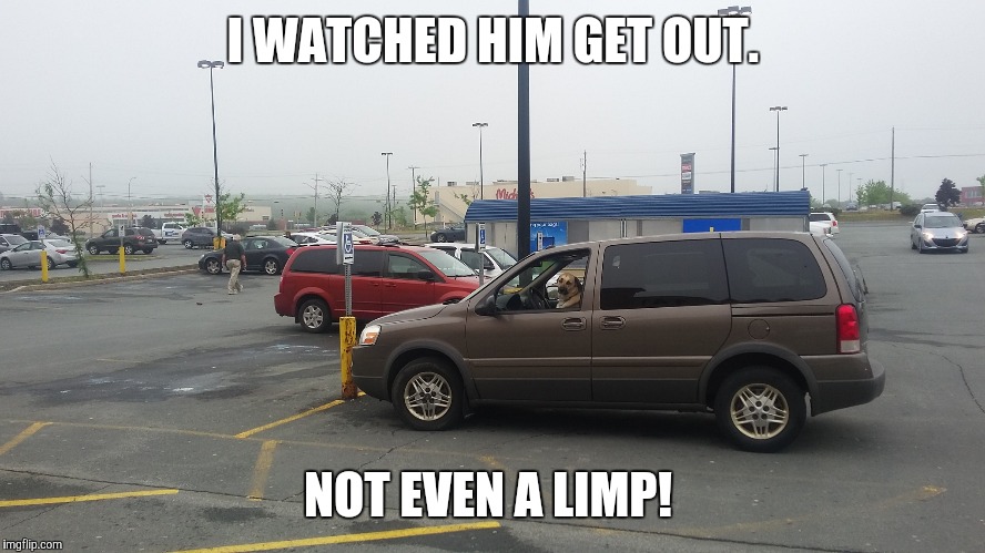 Dog parks in handicap spot. | I WATCHED HIM GET OUT. NOT EVEN A LIMP! | image tagged in dog,handicapped parking space | made w/ Imgflip meme maker
