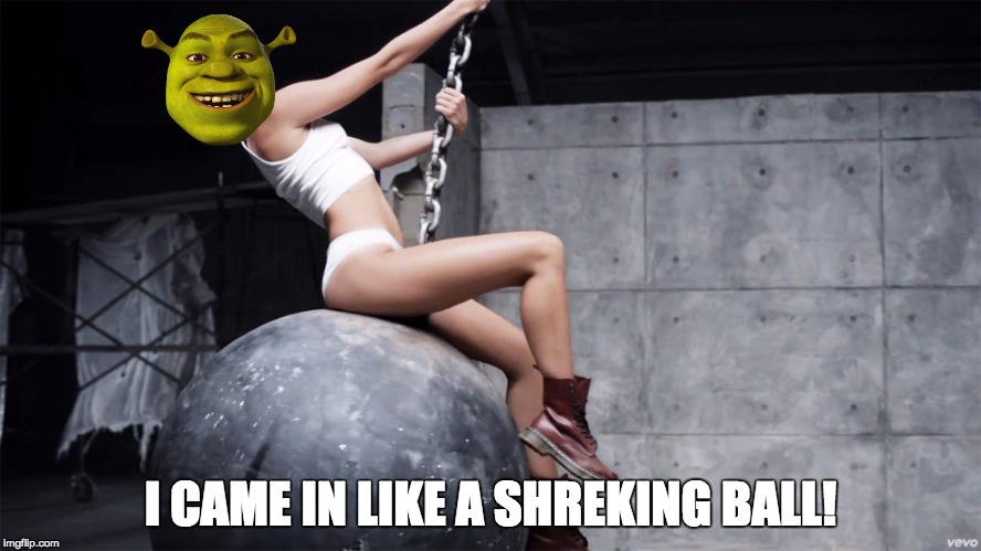 how shrexy | I CAME IN LIKE A SHREKING BALL! | image tagged in funny,shrek | made w/ Imgflip meme maker
