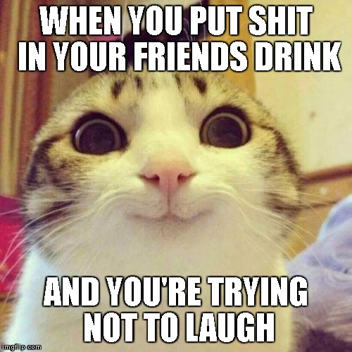 You and your shenanigans :3 | WHEN YOU PUT SHIT IN YOUR FRIENDS DRINK; AND YOU'RE TRYING NOT TO LAUGH | image tagged in memes,smiling cat,drink | made w/ Imgflip meme maker