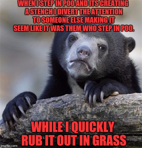 It's very embarrassing. | WHEN I STEP IN POO AND ITS CREATING A STENCH I DIVERT THE ATTENTION TO SOMEONE ELSE MAKING IT SEEM LIKE IT WAS THEM WHO STEP IN POO. WHILE I QUICKLY RUB IT OUT IN GRASS | image tagged in memes,confession bear | made w/ Imgflip meme maker