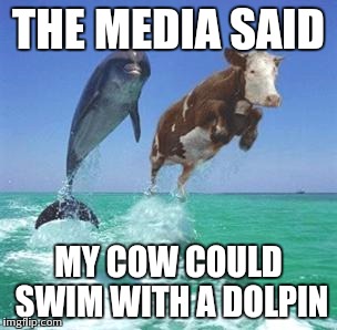 THE MEDIA SAID MY COW COULD SWIM WITH A DOLPIN | made w/ Imgflip meme maker