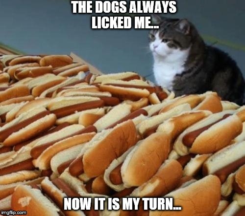 THE DOGS ALWAYS LICKED ME... NOW IT IS MY TURN... | image tagged in funny meme,cats,revenge | made w/ Imgflip meme maker