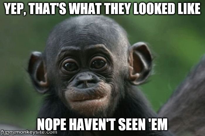 YEP, THAT'S WHAT THEY LOOKED LIKE NOPE HAVEN'T SEEN 'EM | made w/ Imgflip meme maker