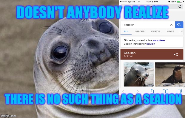 Awkward Moment Sealion | DOESN'T ANYBODY REALIZE; THERE IS NO SUCH THING AS A SEALION | image tagged in memes,awkward moment sealion,grammar,words,funny | made w/ Imgflip meme maker
