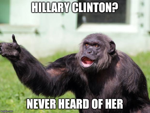 HILLARY CLINTON? NEVER HEARD OF HER | made w/ Imgflip meme maker