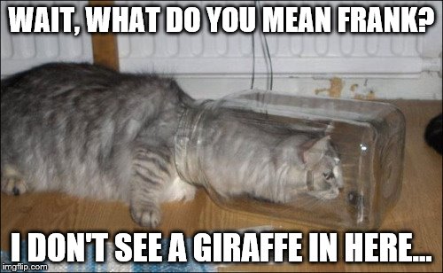 LONG NECKED CAT | WAIT, WHAT DO YOU MEAN FRANK? I DON'T SEE A GIRAFFE IN HERE... | image tagged in cats,girrafes,funny,meme,catss | made w/ Imgflip meme maker