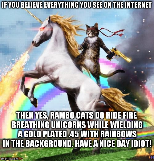 Welcome To The Internets | IF YOU BELIEVE EVERYTHING YOU SEE ON THE INTERNET; THEN YES, RAMBO CATS DO RIDE FIRE BREATHING UNICORNS WHILE WIELDING A GOLD PLATED .45 WITH RAINBOWS IN THE BACKGROUND. HAVE A NICE DAY IDIOT! | image tagged in memes,welcome to the internets | made w/ Imgflip meme maker