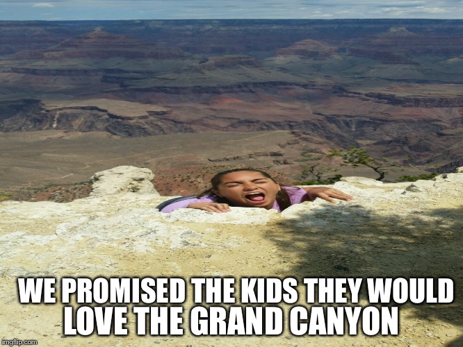 Grand canyon | WE PROMISED THE KIDS THEY WOULD; LOVE THE GRAND CANYON | image tagged in the grand canyon | made w/ Imgflip meme maker