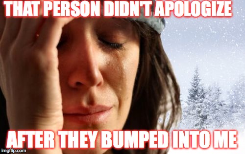 1st World Canadian Problems | THAT PERSON DIDN'T APOLOGIZE; AFTER THEY BUMPED INTO ME | image tagged in memes,1st world canadian problems,accurate,canada,lol,funny | made w/ Imgflip meme maker
