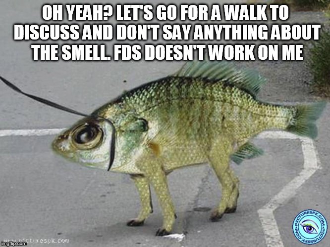 OH YEAH? LET'S GO FOR A WALK TO DISCUSS AND DON'T SAY ANYTHING ABOUT THE SMELL. FDS DOESN'T WORK ON ME | image tagged in memes | made w/ Imgflip meme maker