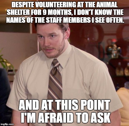 Afraid To Ask Andy Meme | DESPITE VOLUNTEERING AT THE ANIMAL SHELTER FOR 9 MONTHS, I DON'T KNOW THE NAMES OF THE STAFF MEMBERS I SEE OFTEN. AND AT THIS POINT I'M AFRAID TO ASK | image tagged in memes,afraid to ask andy,AdviceAnimals | made w/ Imgflip meme maker