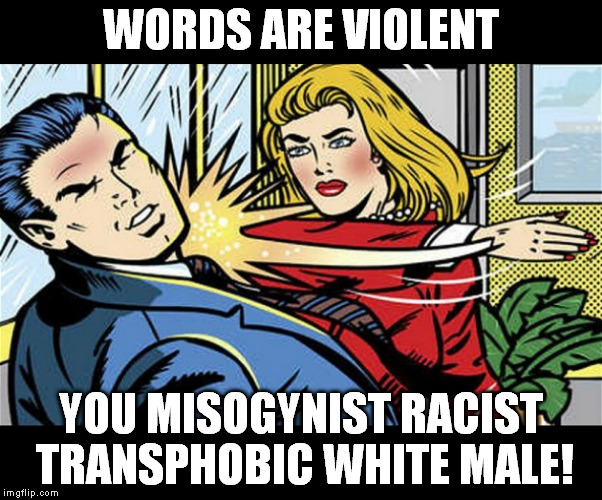 feminazi |  WORDS ARE VIOLENT; YOU MISOGYNIST RACIST TRANSPHOBIC WHITE MALE! | image tagged in feminazi,feminism is cancer,i need feminism because,misogyny,racism | made w/ Imgflip meme maker